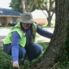 Arborist inspecting the ground to assess a trees health